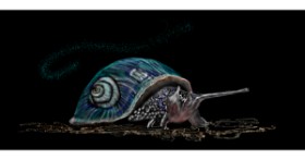Drawing of Snail by Çhåching