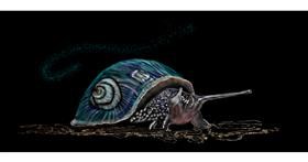 Drawing of Snail by Chaching