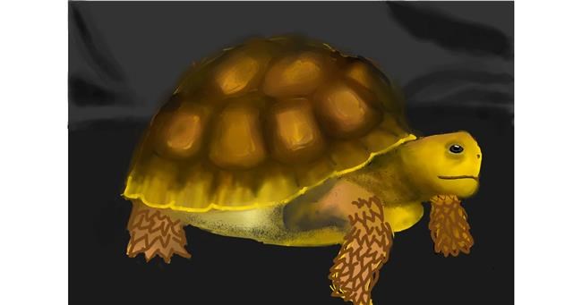 Drawing of Tortoise by Dada