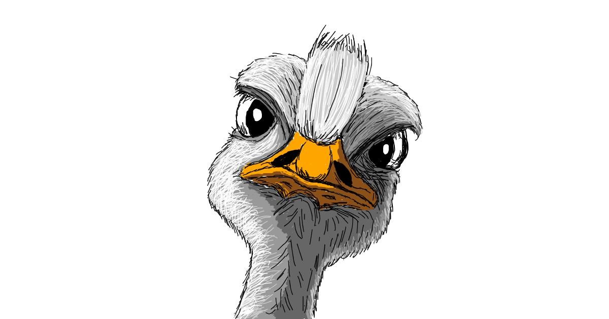Drawing of Ostrich by Chartos