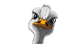 Drawing of Ostrich by Chartos