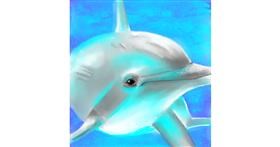Drawing of Dolphin by ⋆su⋆vinci彡