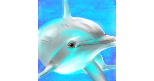 Drawing of Dolphin by ⋆su⋆vinci彡