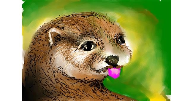 Drawing of Otter by Swastikaa 