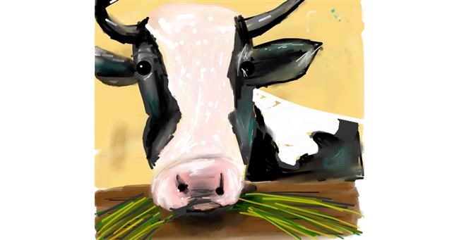 Drawing of Cow by Ankita Sharma