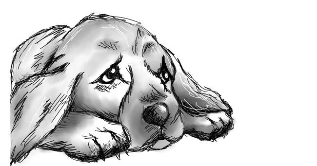 Hund-Zeichnung von 🫧Maruchan🫧 🍜