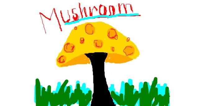 Drawing of Mushroom by XDyo_girl