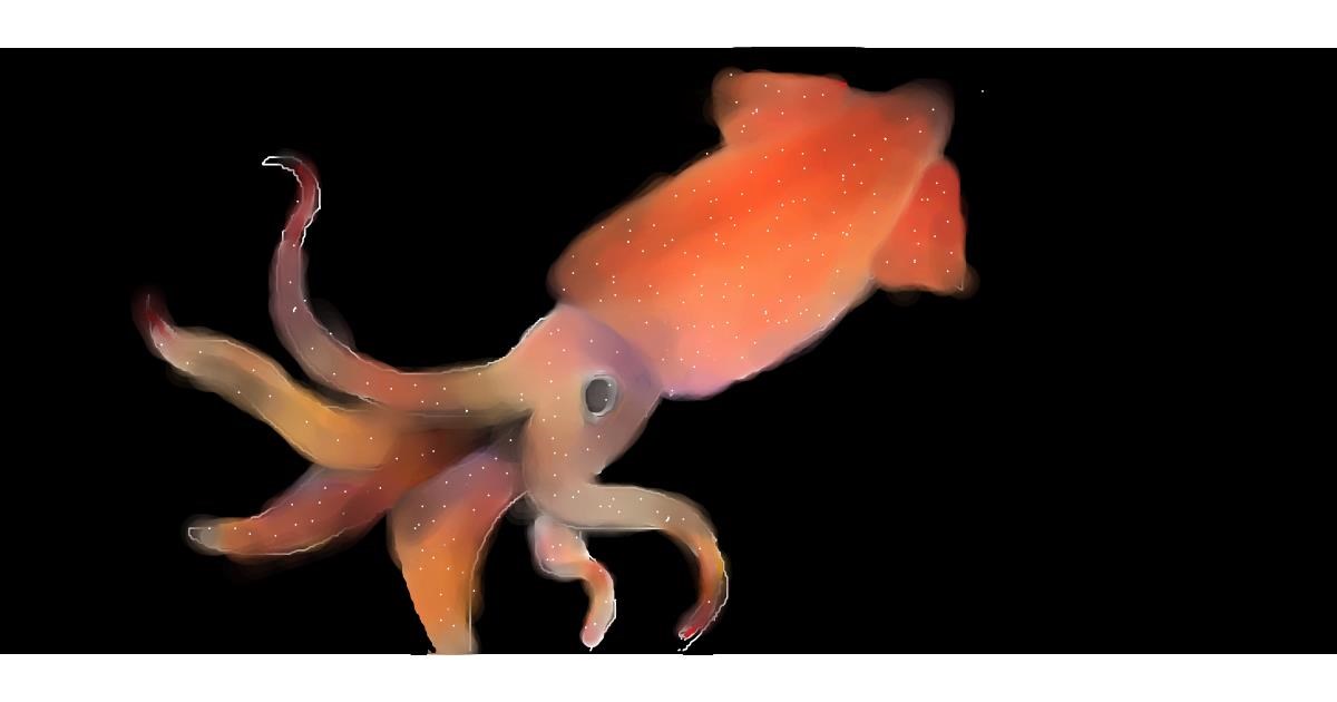 Drawing of Squid by SiMrA