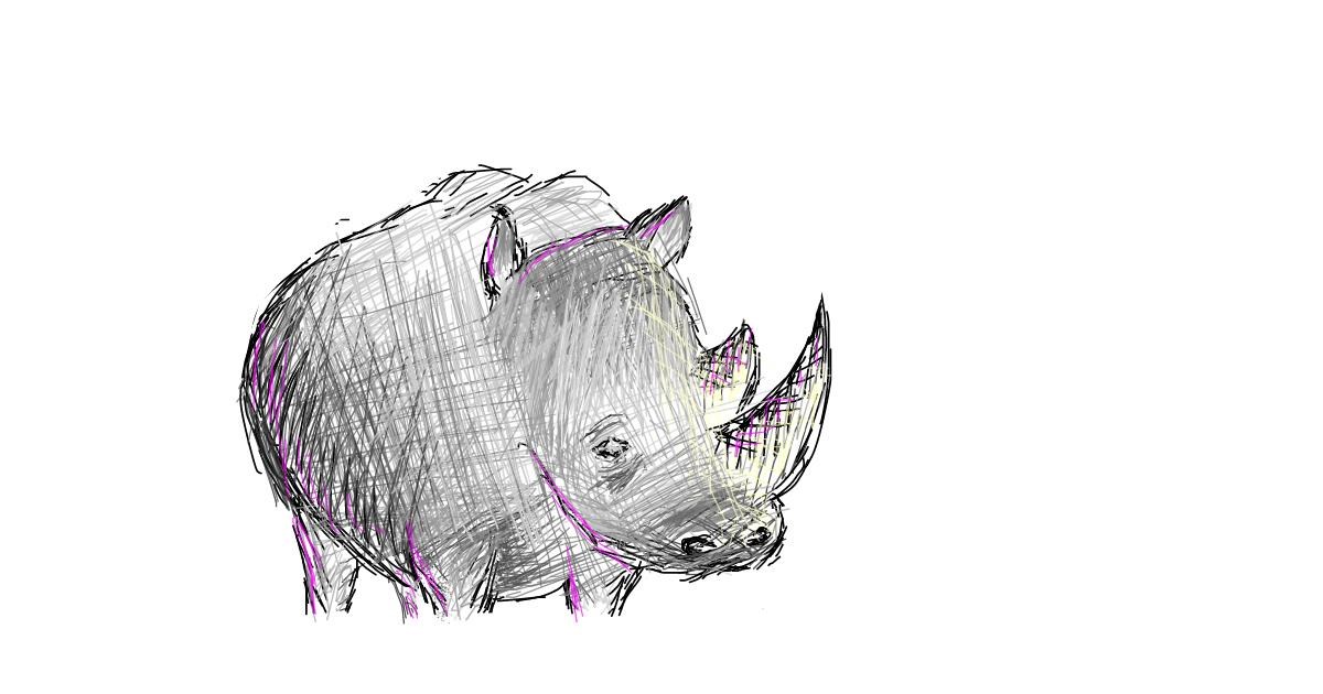 Drawing of Rhino by coconut