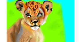 Lav - autor: Herbert