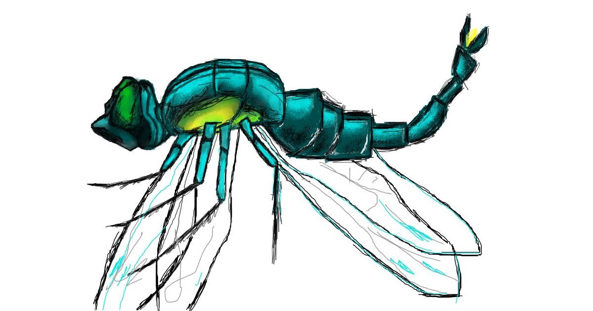 Drawing of Dragonfly by 𝐓𝐎𝐏𝑅𝑂𝐴𝐶𝐻™