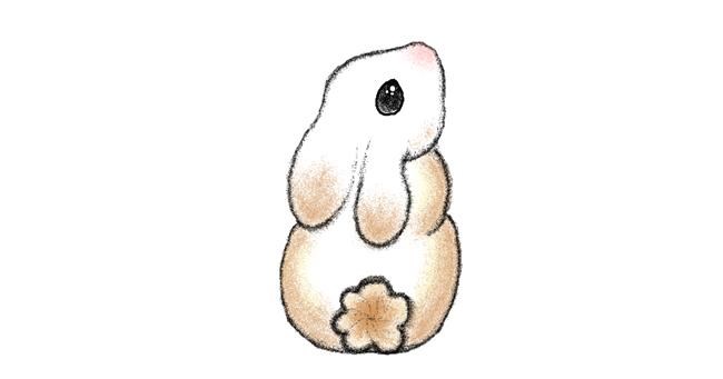 Drawing of Rabbit by tiny=)