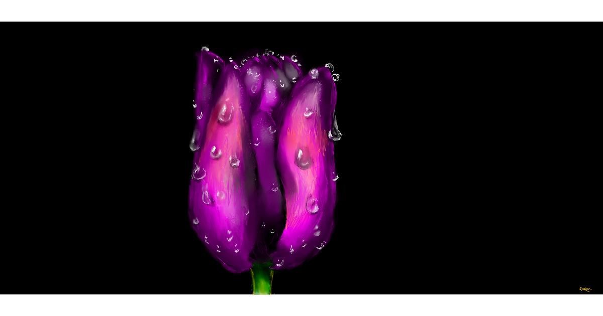 Drawing of Tulips by Una persona
