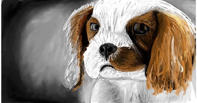 Drawing of Dog by Mia