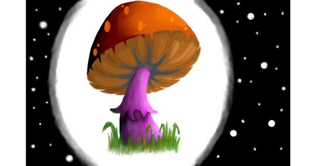 Drawing of Mushroom by Pickles