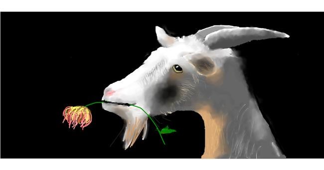 Drawing of Goat by Soraya