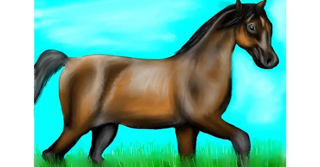 Drawing of Horse by Jan