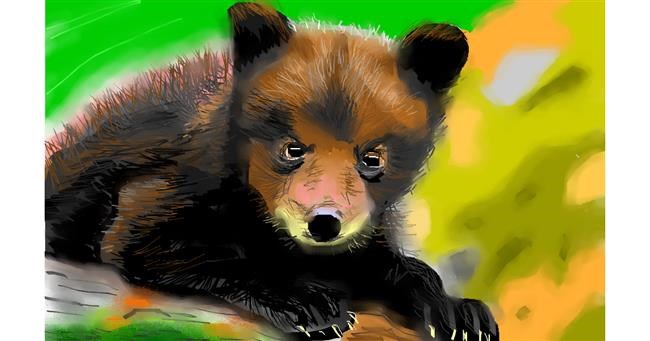 Drawing of Bear by Herbert