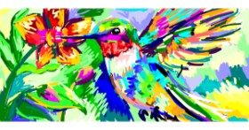 Drawing of Hummingbird by Zigzag