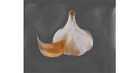 Drawing of Garlic by Philip