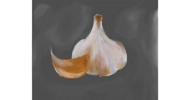 Drawing of Garlic by Philip
