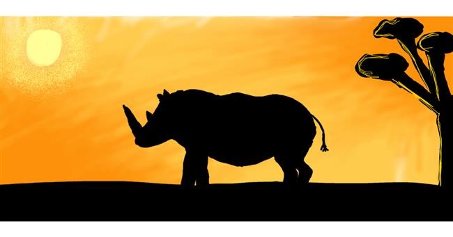 Drawing of Rhino by winner