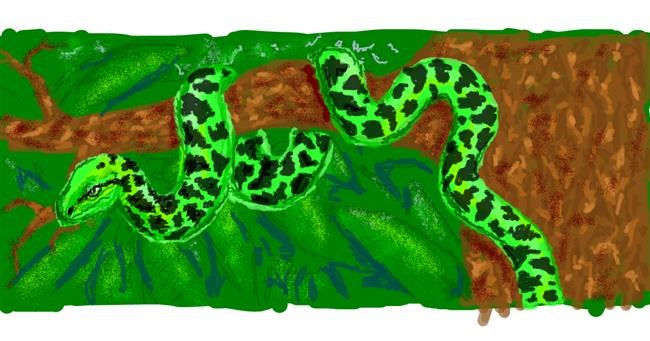 Drawing of Snake by WindPhoenix