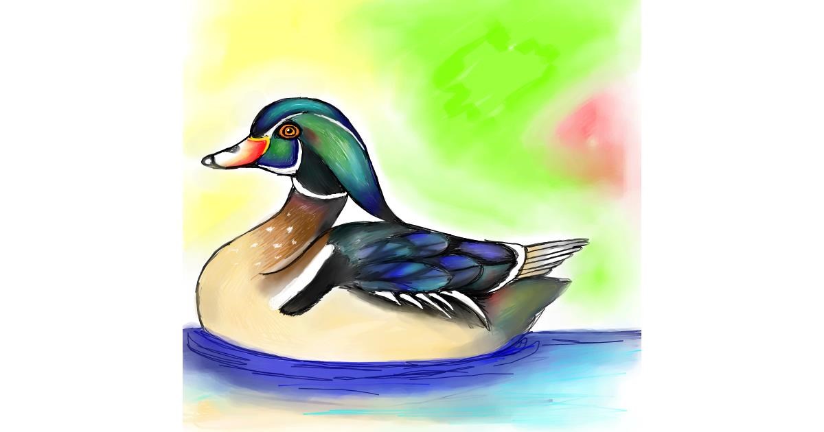 Drawing of Duck by Bishakha