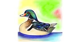 Drawing of Duck by Bishakha