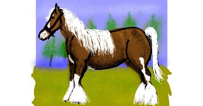 Drawing of Horse by Cherri