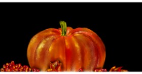Drawing of Pumpkin by Eclat de Lune