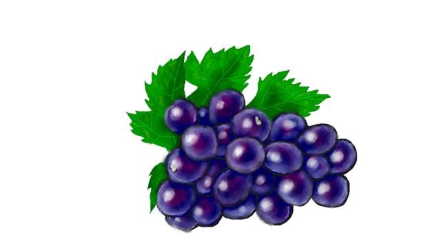 Drawing of Grapes by Humo de copal