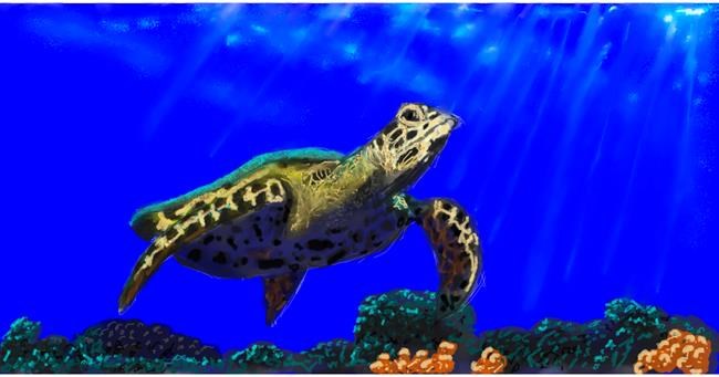 Drawing of Sea turtle by Humo de copal