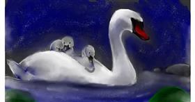Drawing of Swan by Unknown