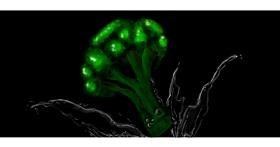 Drawing of Broccoli by Annie