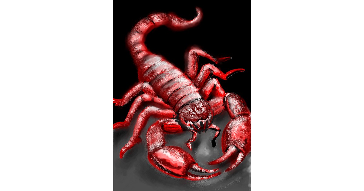 Full Size Drawing