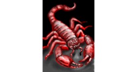 Drawing of Scorpion by ⋆su⋆vinci彡