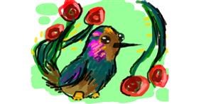 Drawing of Hummingbird by Nan