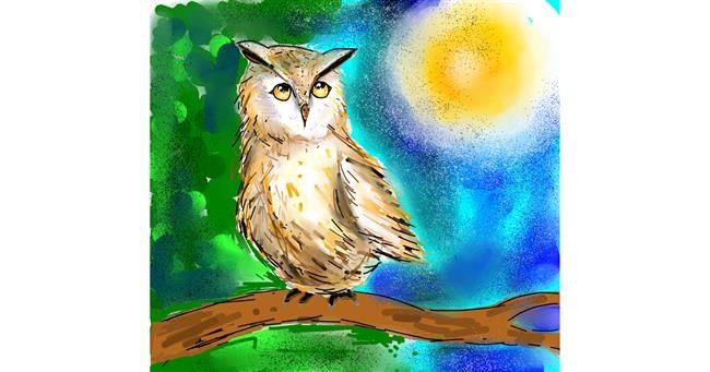 Drawing of Owl by Peek