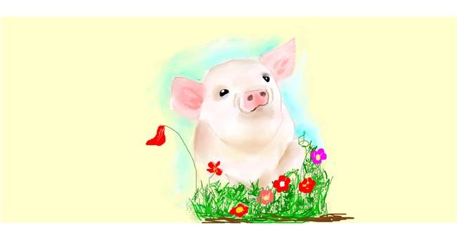 Drawing of Pig by Gillian