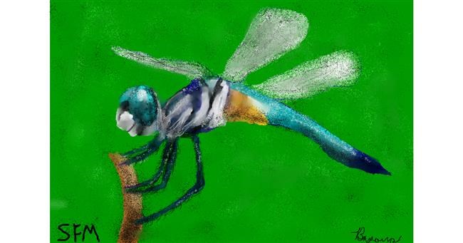 Drawing of Dragonfly by Banana