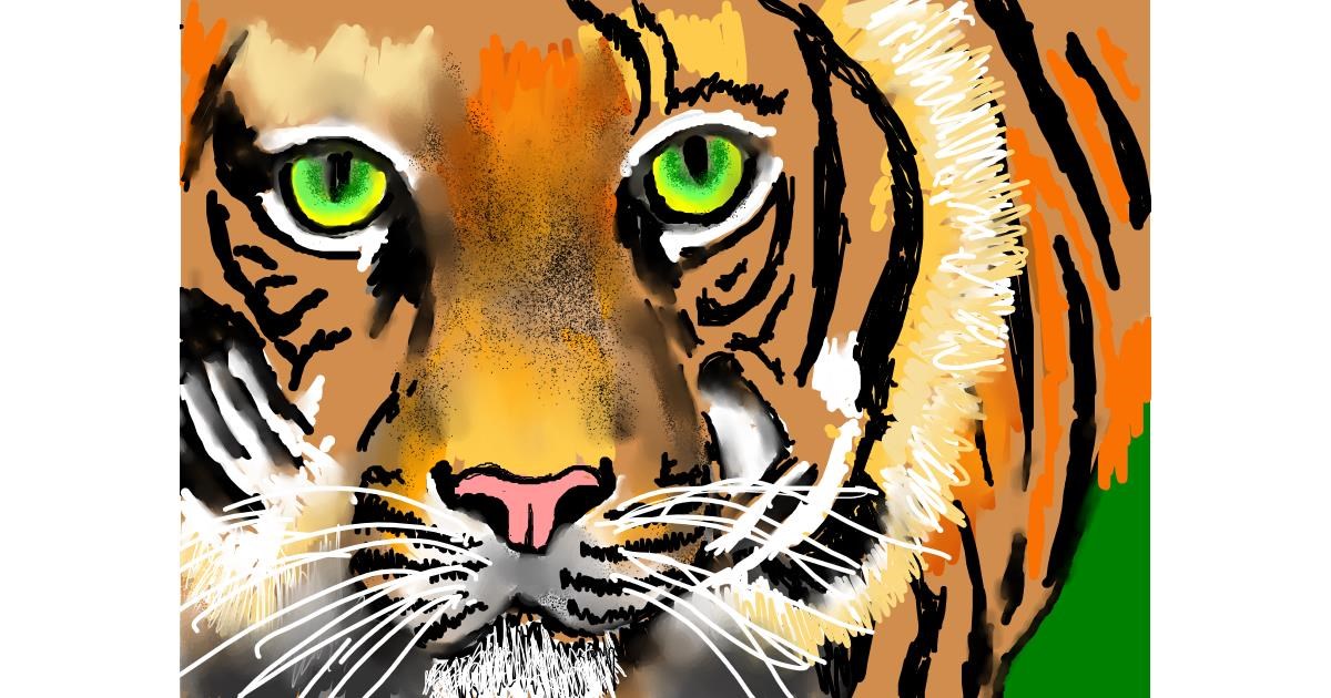 Drawing of Tiger by SAM AKA MARGARET 🙄