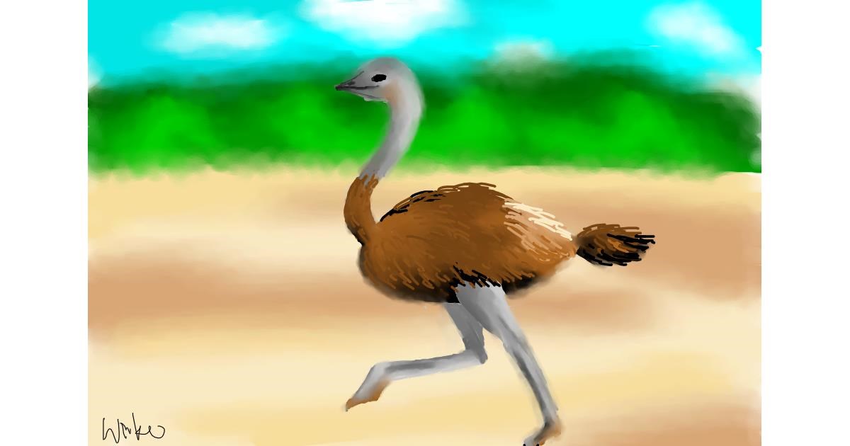 Drawing of Ostrich by SpiderBoy