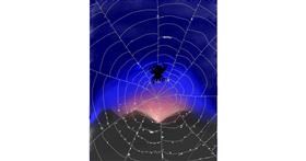 Drawing of Spider web by Serruh