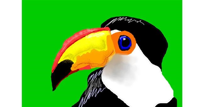 Drawing of Toucan by 🎼Mia🎶