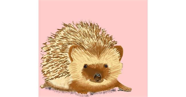 Drawing of Hedgehog by Gatiux Guido
