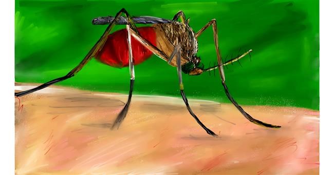 Drawing of Mosquito by Mia
