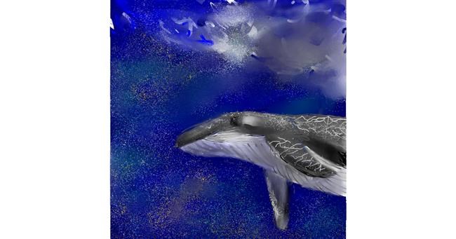 Drawing of Whale by Yasmine