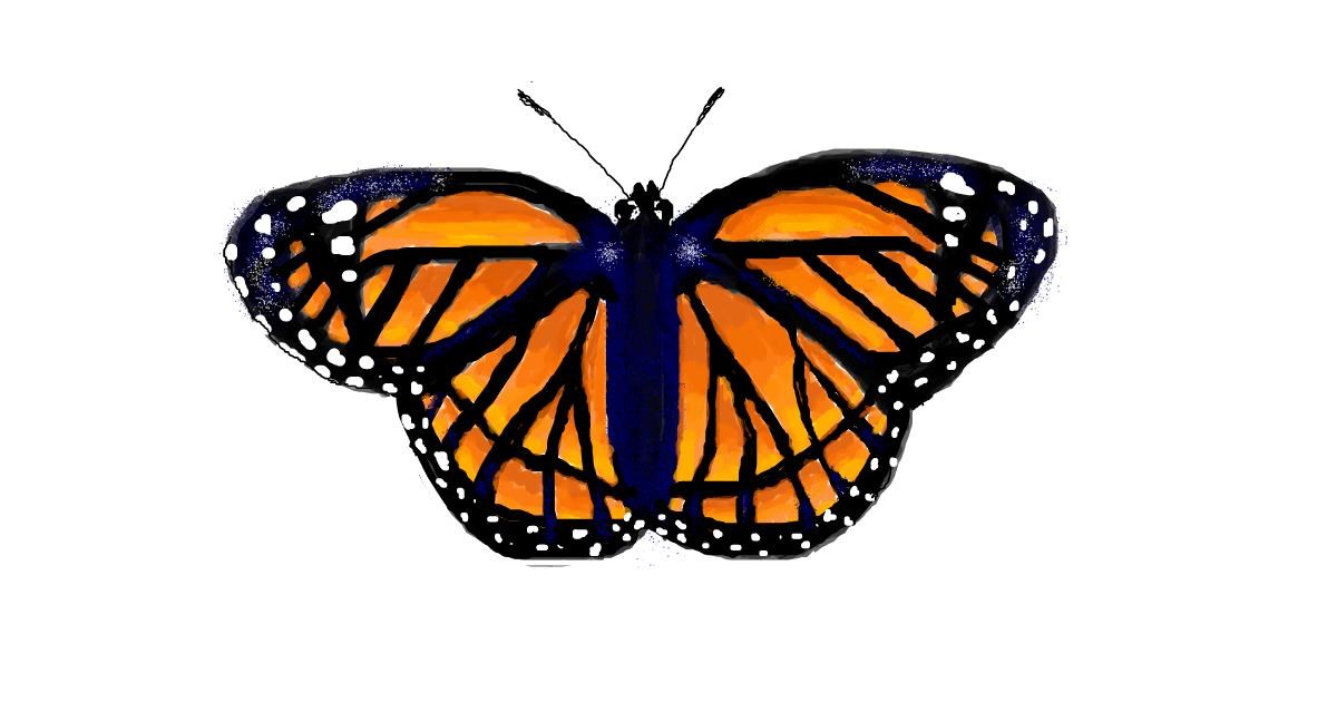 Drawing of Butterfly by coconut