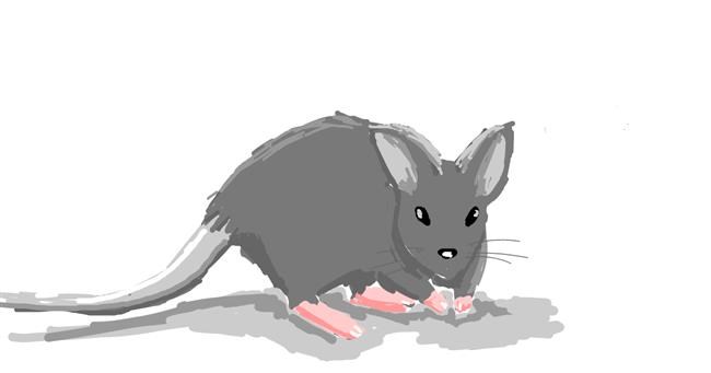 Drawing of Mouse by itsme